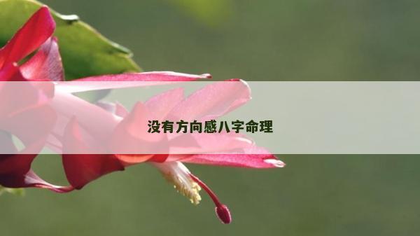 沒(méi)有方向感八字命理