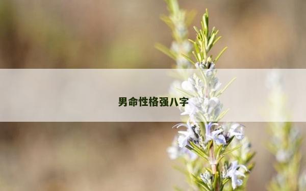 男命性格強(qiáng)八字