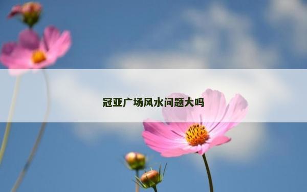 冠亞廣場風水問題大嗎
