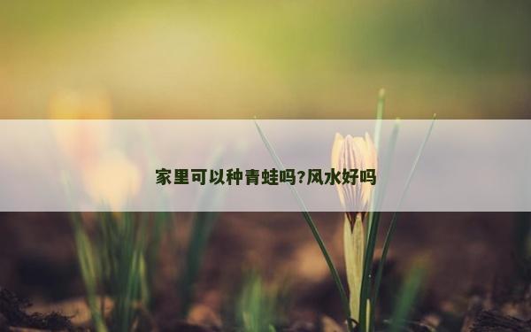 家里可以種青蛙嗎?風(fēng)水好嗎