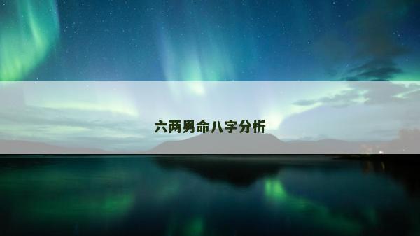 六兩男命八字分析