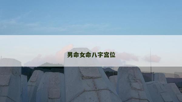 男命女命八字宮位