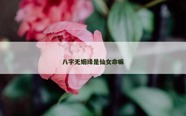 八字無姻緣是仙女命嘛