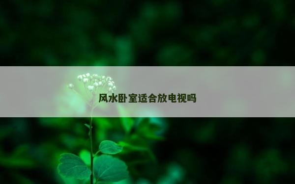 風水臥室適合放電視嗎