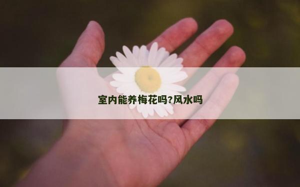 室內能養梅花嗎?風水嗎
