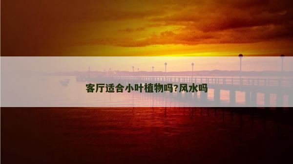 客廳適合小葉植物嗎?風水嗎