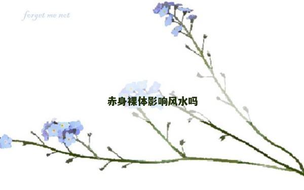 赤身裸體影響風水嗎