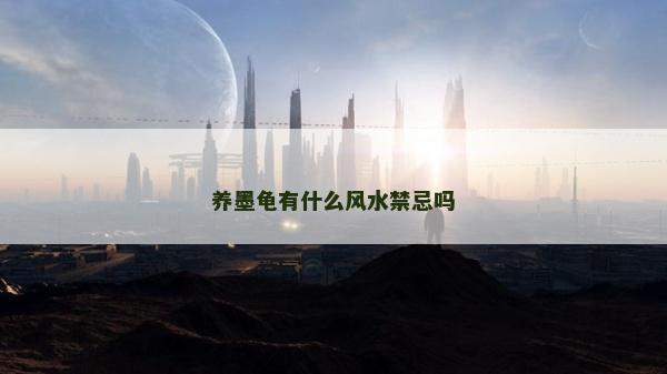 養墨龜有什么風水禁忌嗎