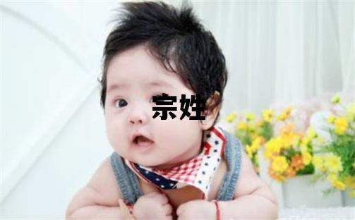 宗姓大氣文雅的男寶寶名字