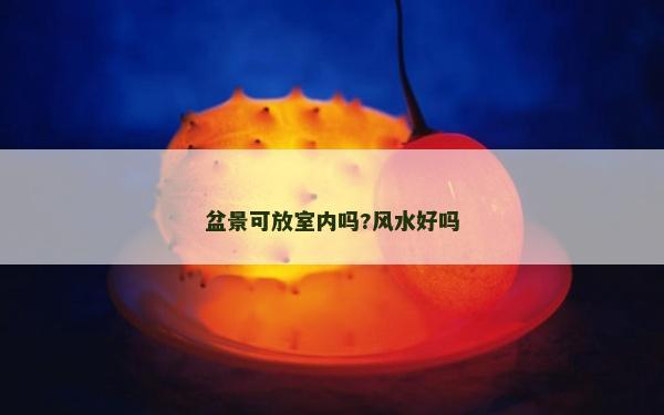 盆景可放室內嗎?風水好嗎
