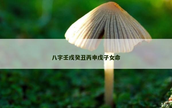 八字壬戌癸丑丙申戊子女命 八字壬戌癸丑丙申戊子女命