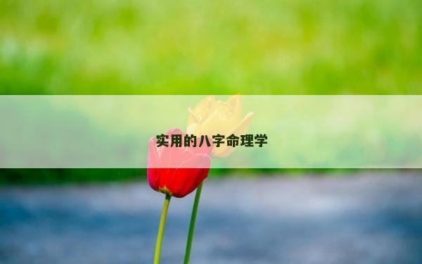 實用的八字命理學