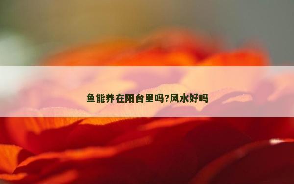 魚能養在陽臺里嗎?風水好嗎