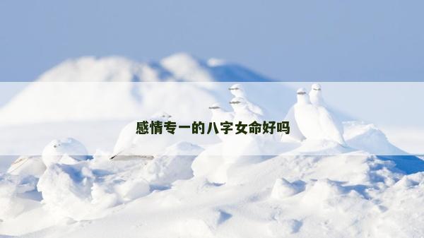 感情專一的八字女命好嗎