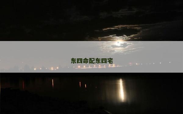 東四命配東四宅