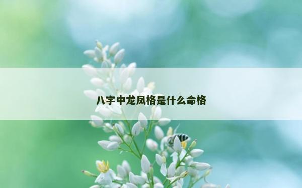 八字中龍鳳格是什么命格