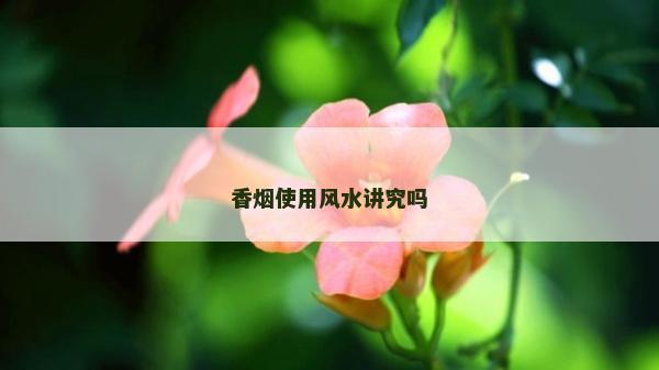 香煙使用風水講究嗎