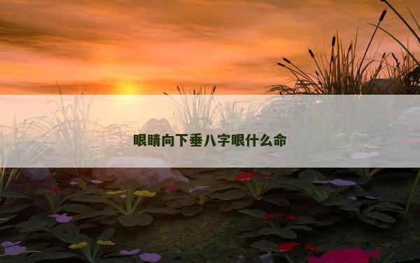 眼睛向下垂八字眼什么命
