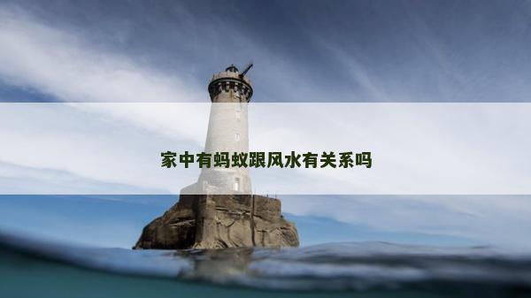 家中有螞蟻跟風(fēng)水有關(guān)系嗎