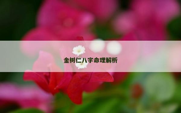 金樹仁八字命理解析