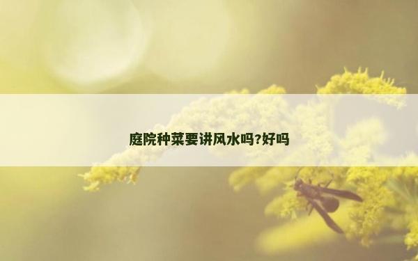 庭院種菜要講風(fēng)水嗎?好嗎