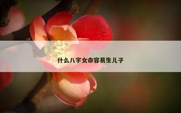 什么八字女命容易生兒子