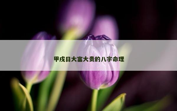 甲戌日大富大貴的八字命理
