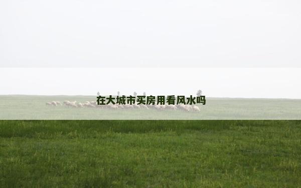 在大城市買房用看風水嗎