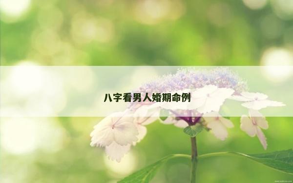 八字看男人婚期命例