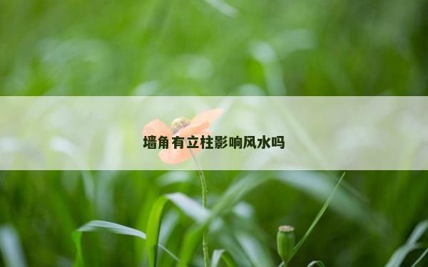 墻角有立柱影響風水嗎