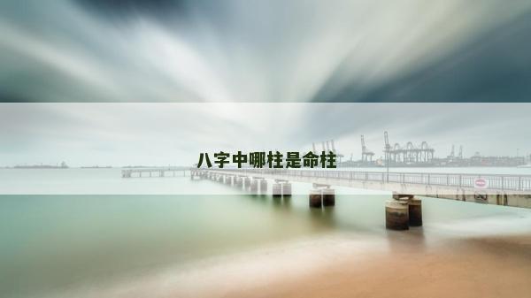八字中哪柱是命柱