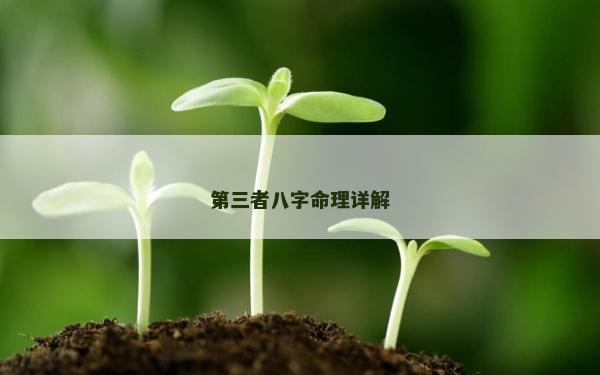 第三者八字命理詳解