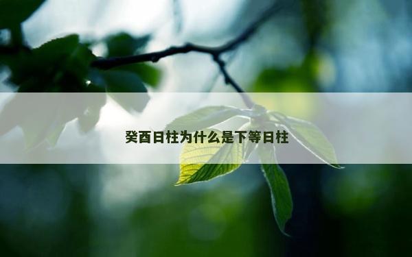 癸酉日柱為什么是下等日柱