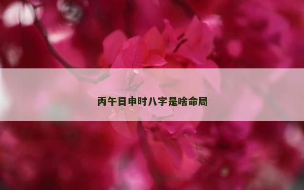 丙午日申時八字是啥命局