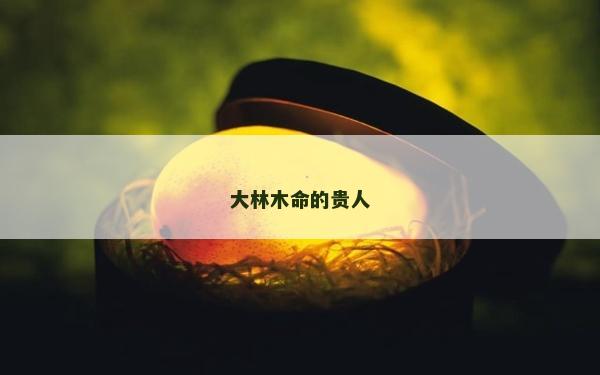 大林木命的貴人