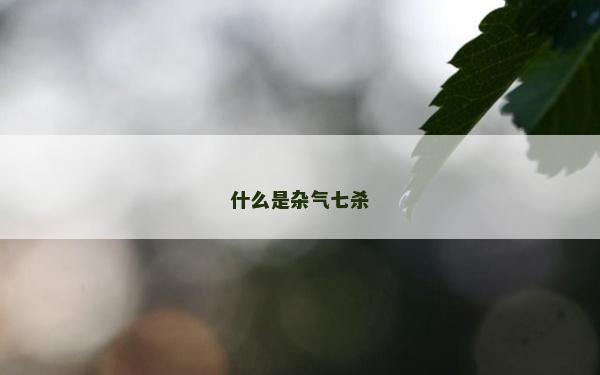 什么是雜氣七殺