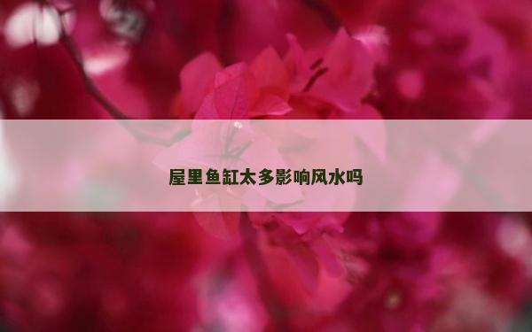 屋里魚缸太多影響風(fēng)水嗎