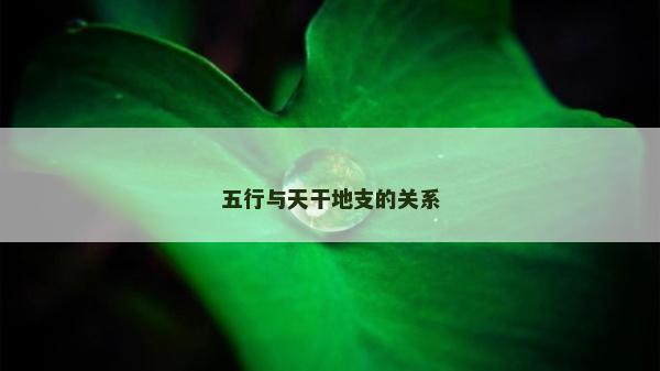五行與天干地支的關系