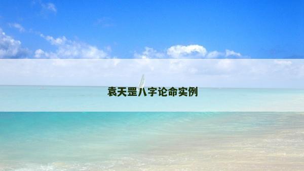 袁天罡八字論命實例