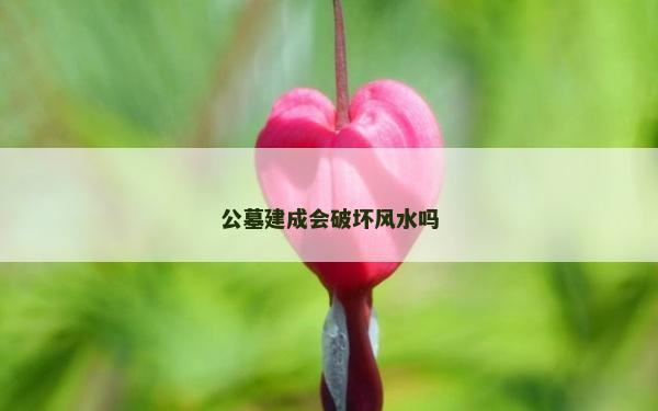 公墓建成會(huì)破壞風(fēng)水嗎