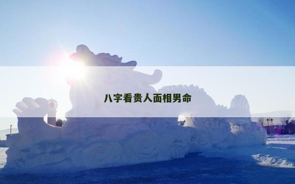 八字看貴人面相男命