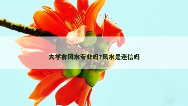 大學(xué)有風(fēng)水專業(yè)嗎?風(fēng)水是迷信嗎 大學(xué)有風(fēng)水專業(yè)嗎?風(fēng)水是迷信嗎