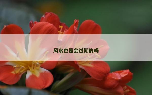 風水也是會過期的嗎