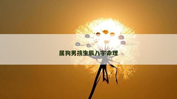 屬狗男孩生辰八字命理
