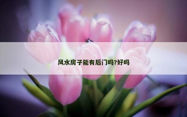 風水房子能有后門嗎?好嗎