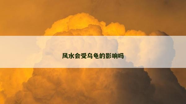 風水會受烏龜的影響嗎