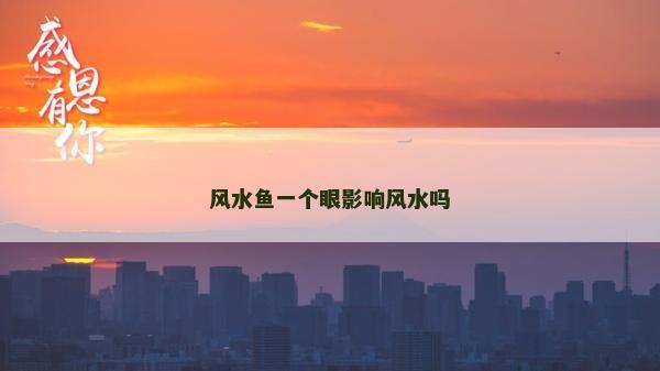 風水魚一個眼影響風水嗎