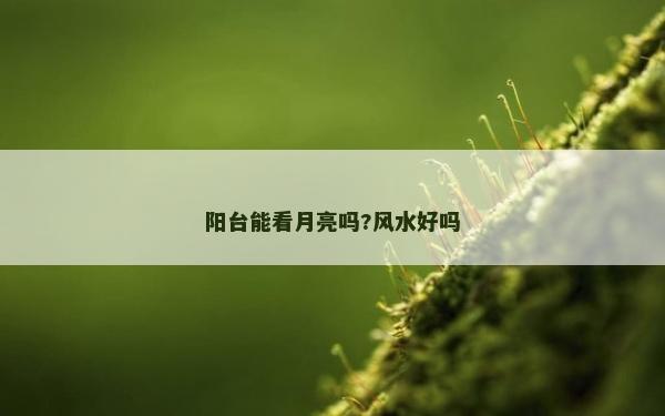 陽臺能看月亮嗎?風水好嗎