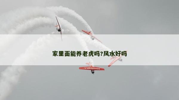家里面能養(yǎng)老虎嗎?風水好嗎