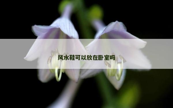 風水鞋可以放在臥室嗎